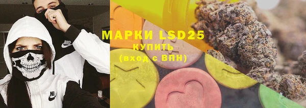молекула духа Ладушкин