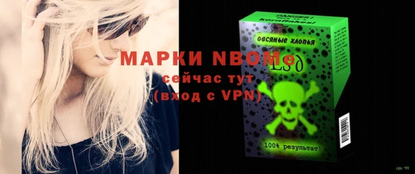 индика Лабытнанги