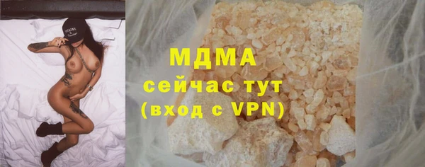 индика Лабытнанги