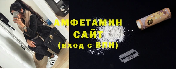 молекула духа Ладушкин