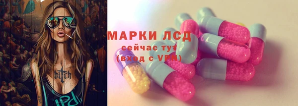 индика Лабытнанги