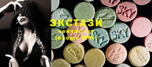индика Лабытнанги