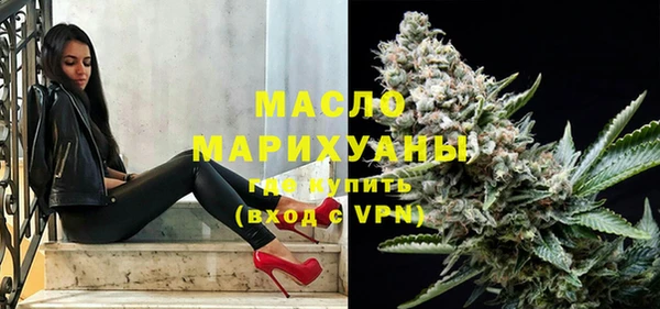индика Лабытнанги