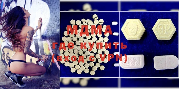 индика Лабытнанги