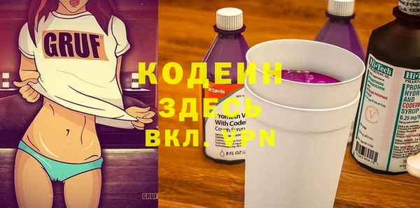 молекула духа Ладушкин