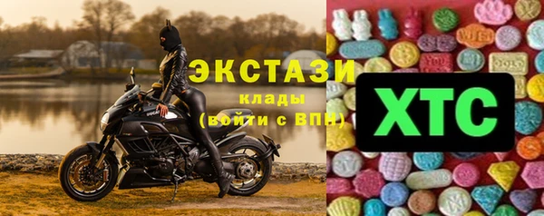 молекула духа Ладушкин