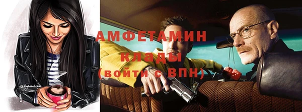 молекула духа Ладушкин