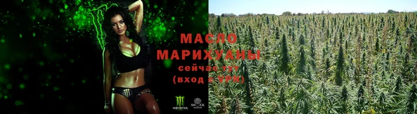 молекула духа Ладушкин